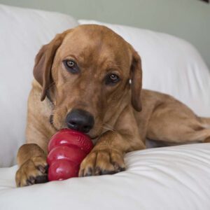 Great for stuffing into KONG Classic and rubber toys for extended play.