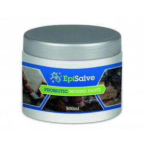 Episalve Wound Paste 500ml