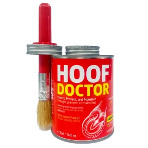 Equine One Hoof Doctor