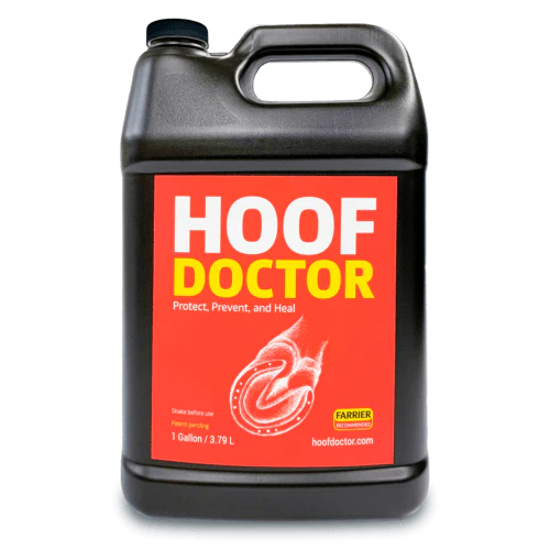 Equine One Hoof Doctor - Image 2