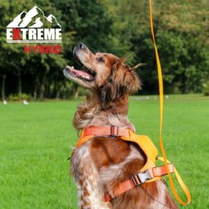 Ancol Extreme Hybrid Harness