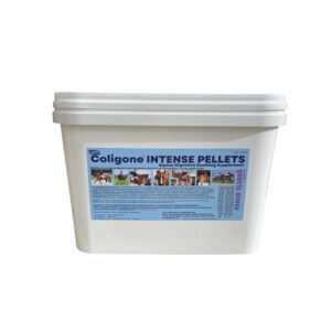 H Bradshaw's Coligone Intense Pellets 6kg Click & Collect