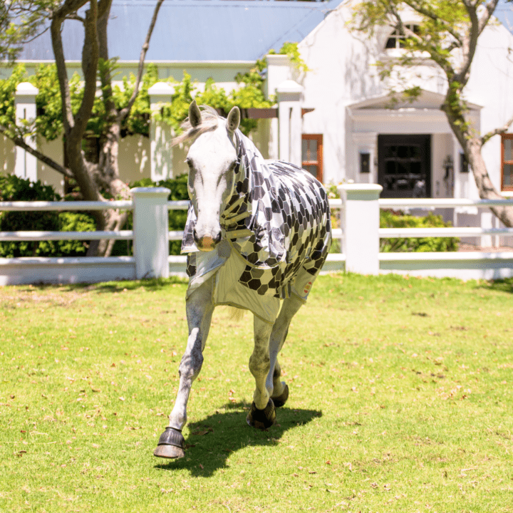 Equilibrium Field Relief Fly Rug - Image 2