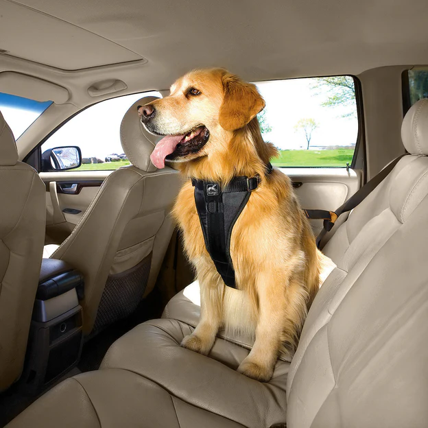 Kurgo Enhanced Strength Tru-Fit Smart Dog Harness -Car - Image 6
