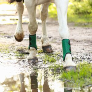 Equilibrium Products Tri-Zone All Sports Boots -Hunter Green