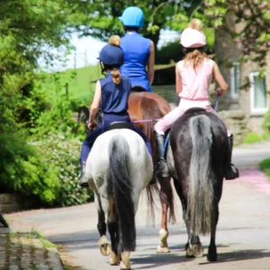 Cameo Equine Summer Tights -Junior