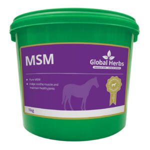 Global Herbs MSM Pure 1kg 