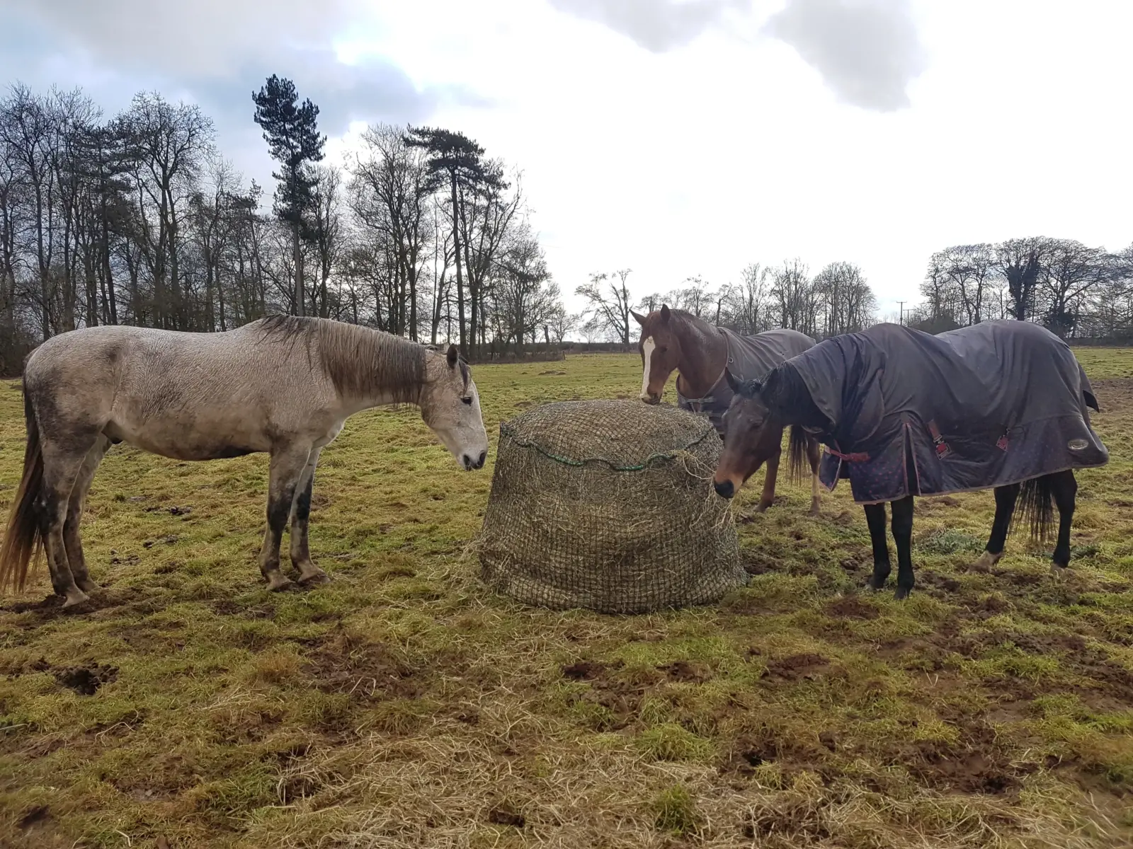 Trickle Net Round Bale Net - Image 4