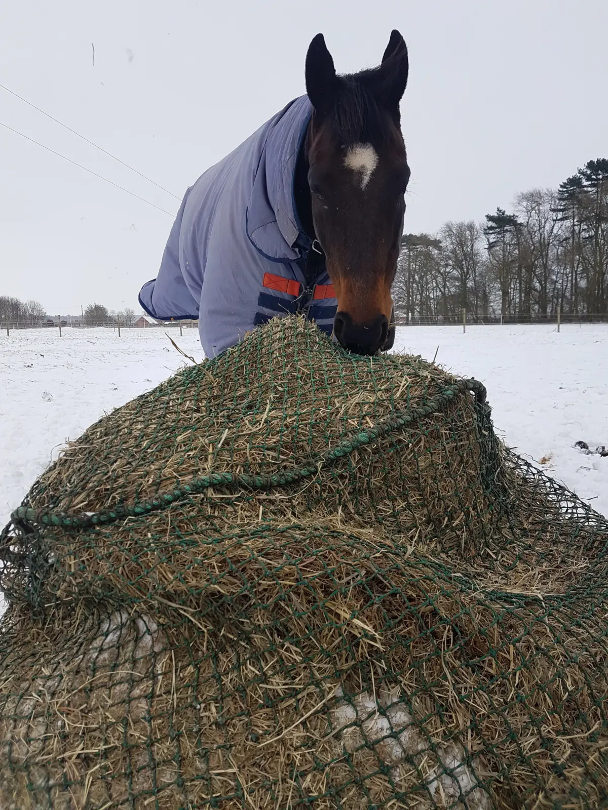 Trickle Net Round Bale Net