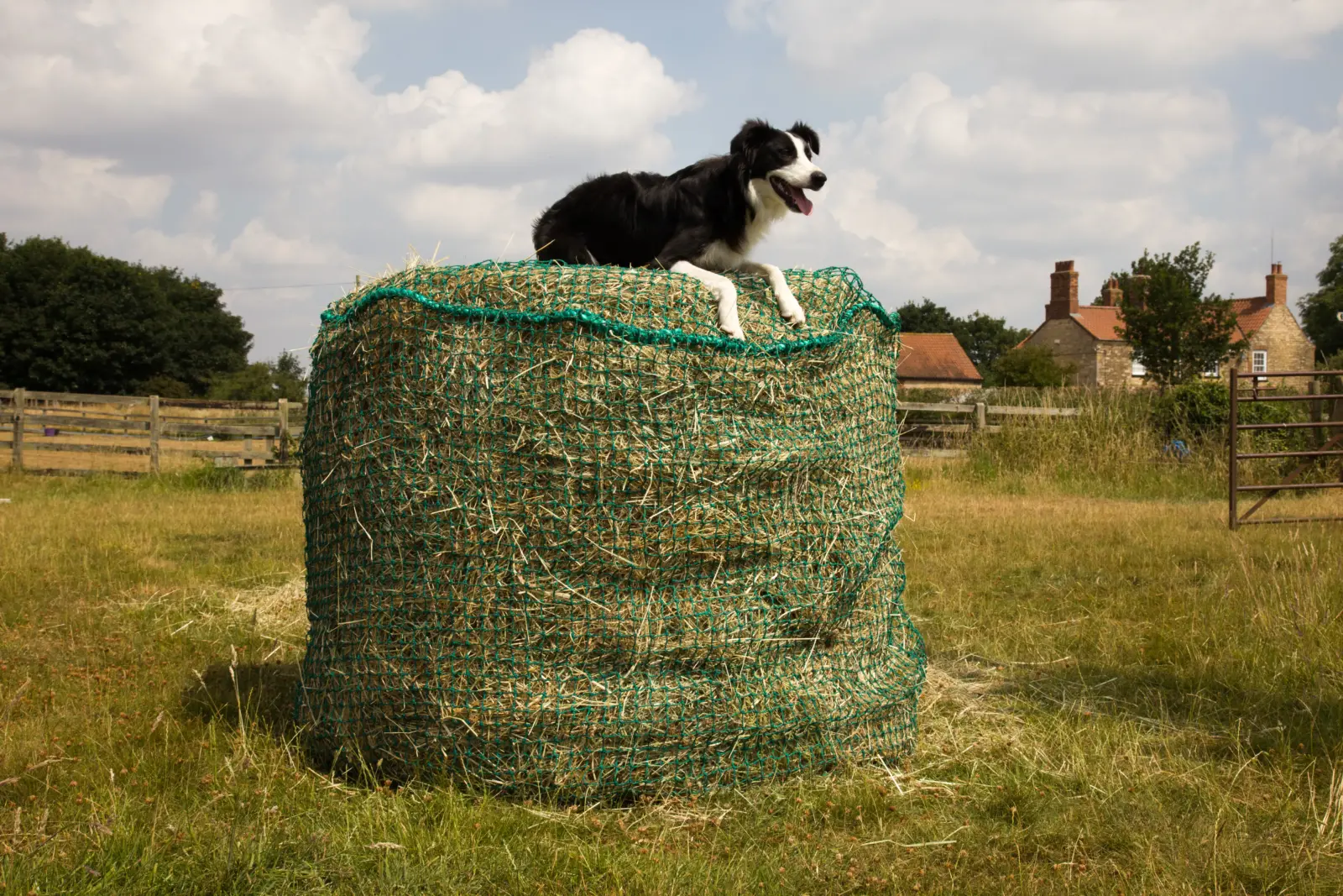 Trickle Net Round Bale Net - Image 2