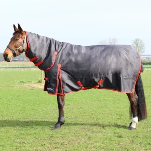 HY Equestrian 200g Combi Turnout Rug -HyCONIC
