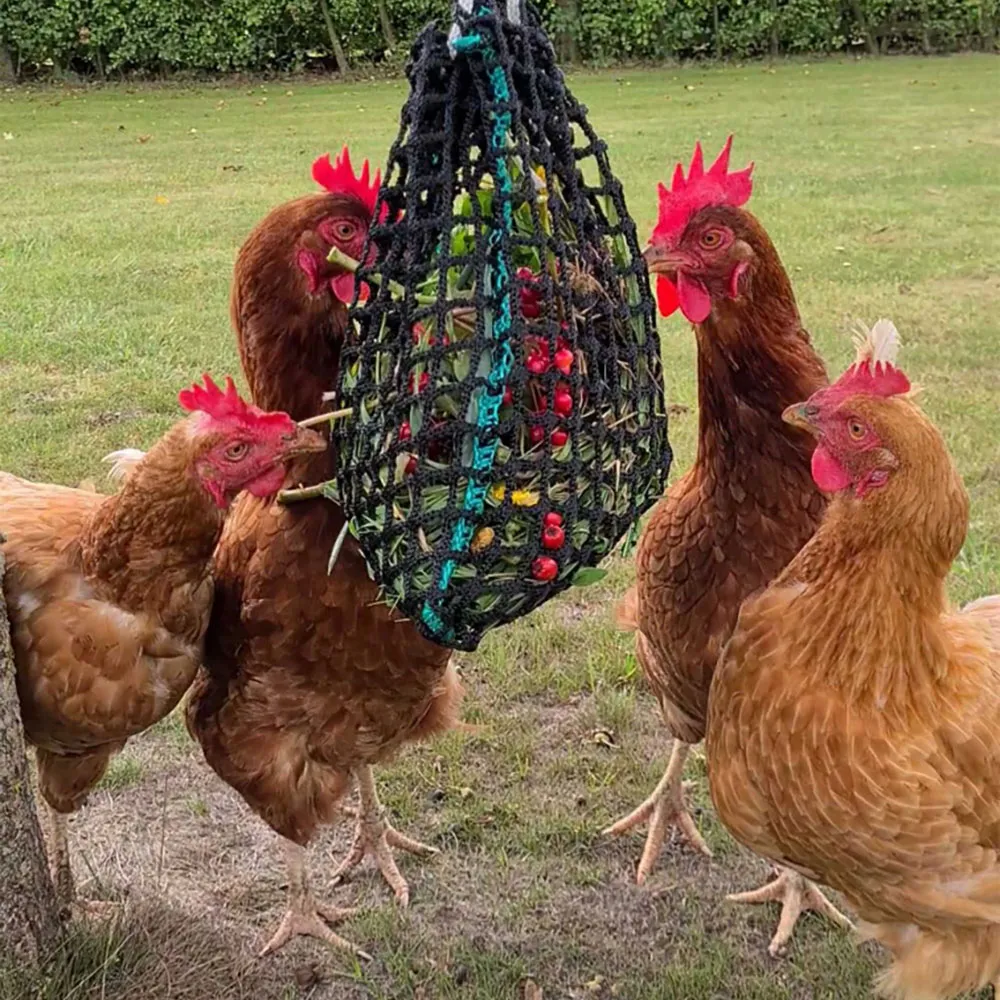 Poultry Feed & Supplements