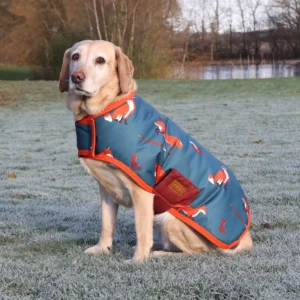 Coats, Jumpers & Neckwear