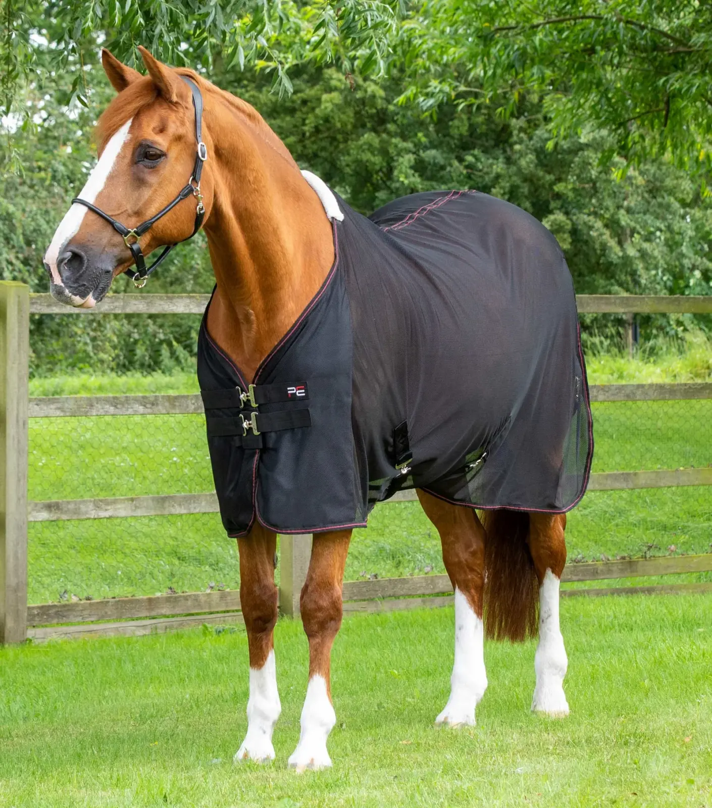 Premier Equine Mesh Cooler Rug -Ventoso