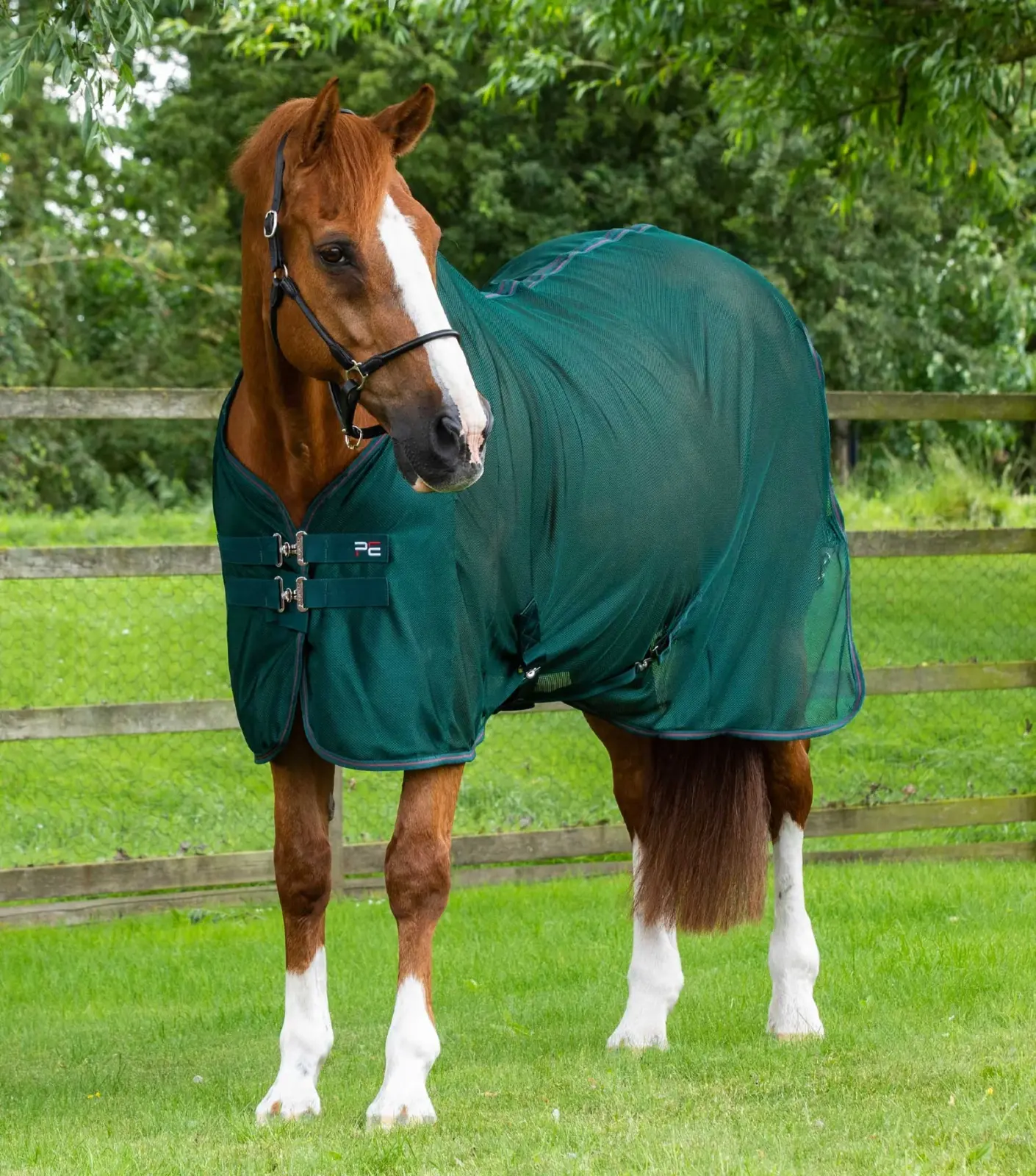 Premier Equine Mesh Cooler Rug -Ventoso - Image 2