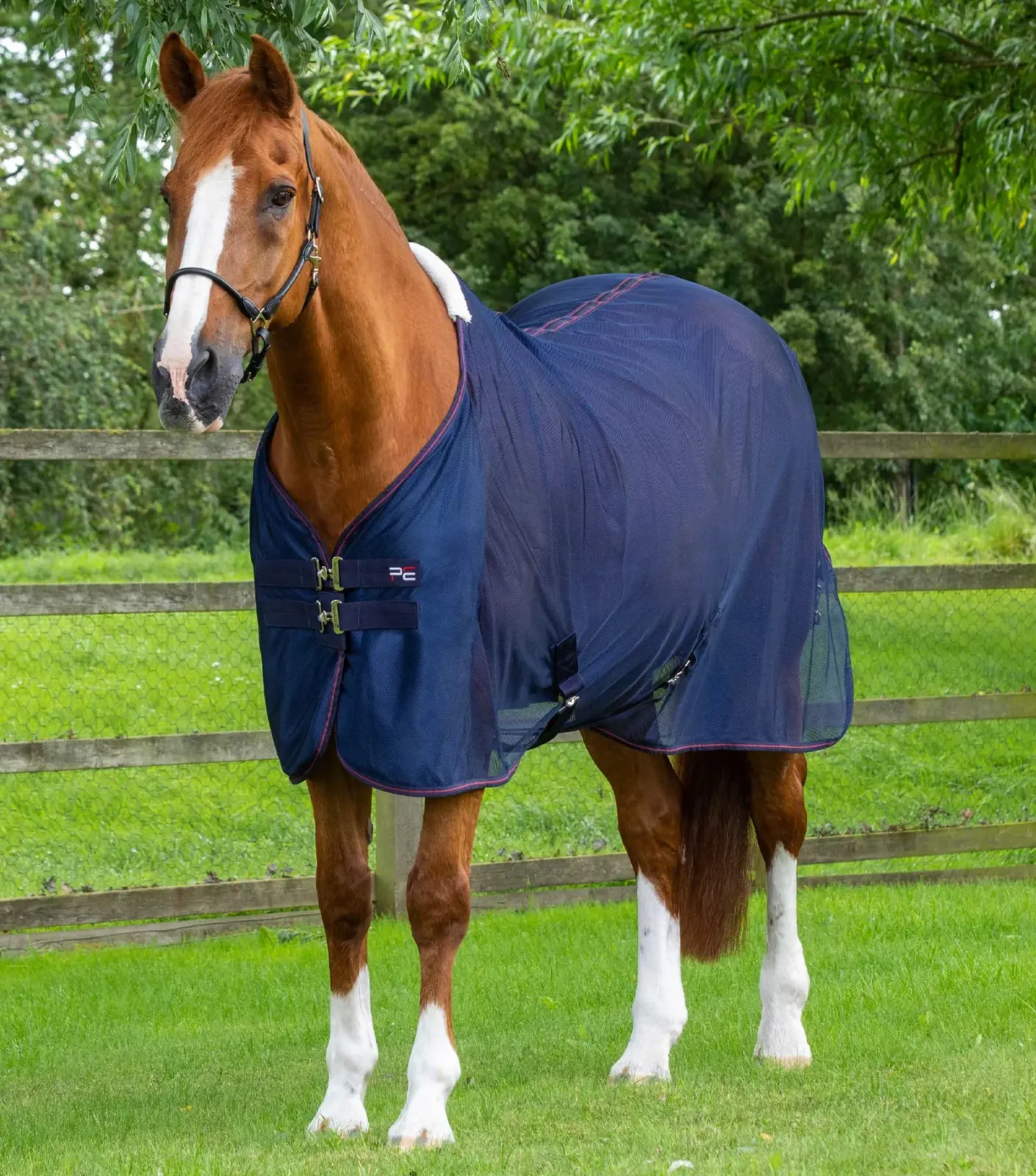 Premier Equine Mesh Cooler Rug -Ventoso - Image 3