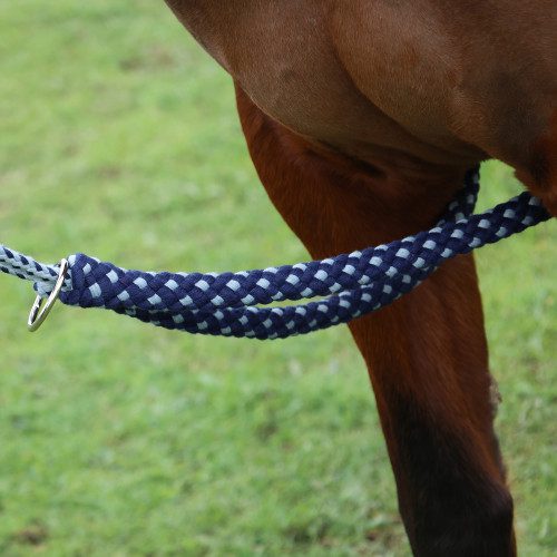 Hy Equestrian Lunging Aid - Image 2