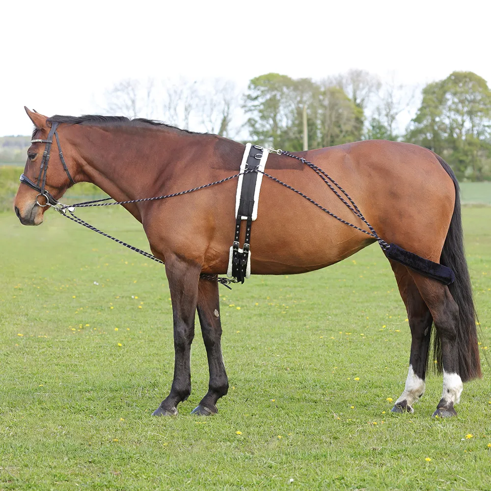 Hy Equestrian Lunging System