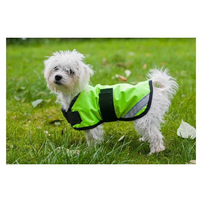 Cameo Equine Storm Waterproof Dog Coat - Image 2