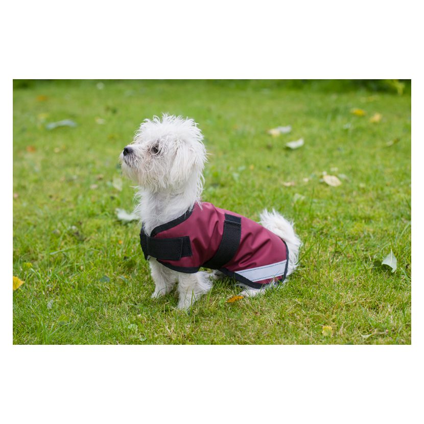 Cameo Equine Storm Waterproof Dog Coat - Image 3