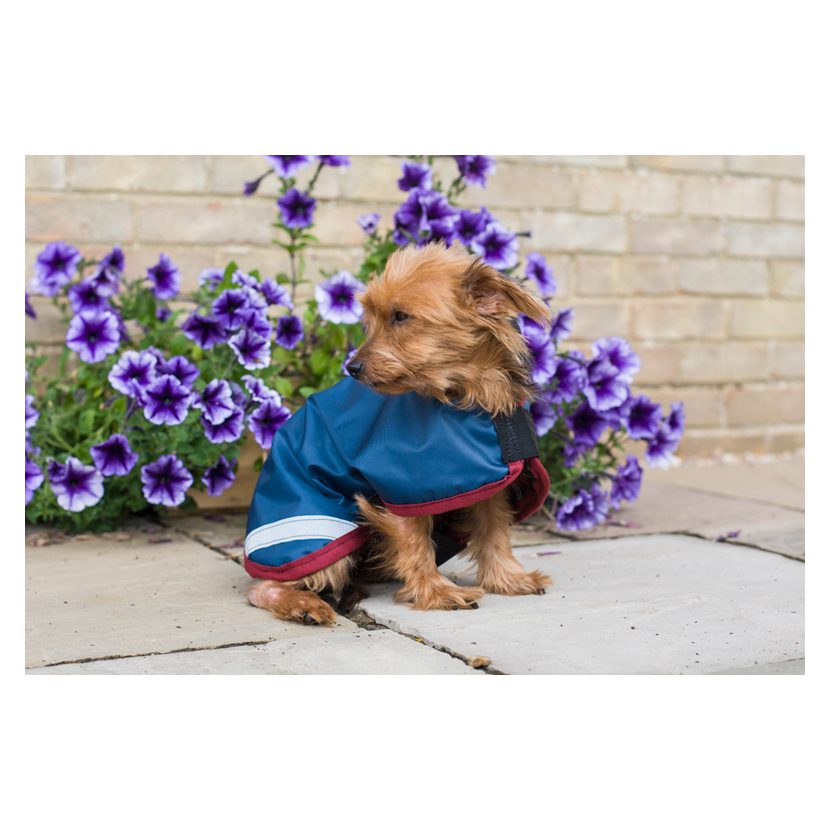 Cameo Equine Storm Waterproof Dog Coat