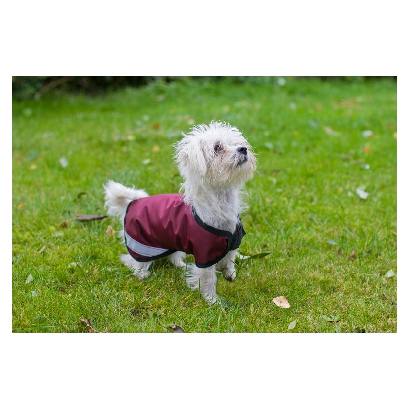 Cameo Equine Storm Waterproof Dog Coat - Image 6