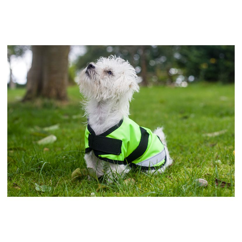 Cameo Equine Storm Waterproof Dog Coat - Image 5