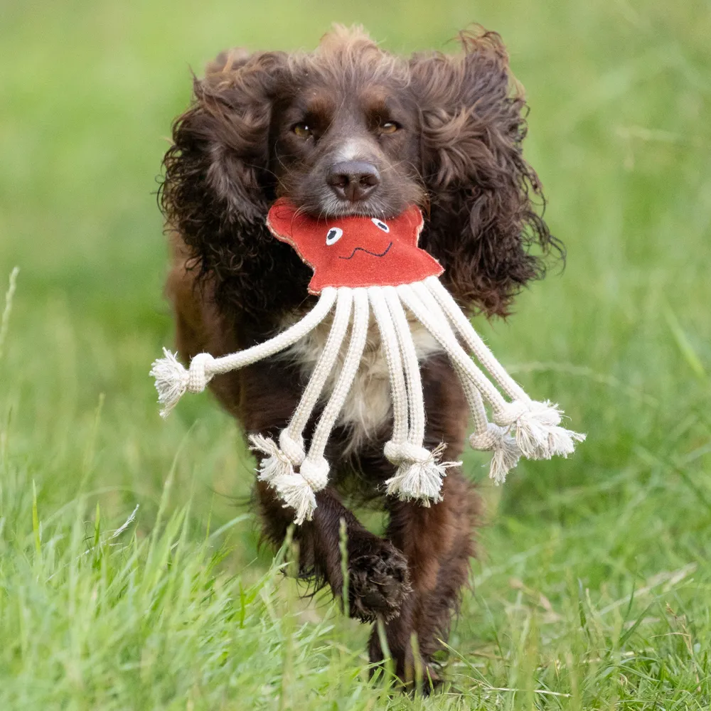 Benji & Flo Crazy Faces Dog Toys - Image 10