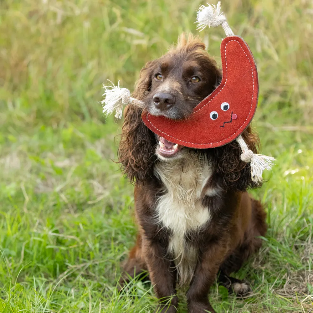 Benji & Flo Crazy Faces Dog Toys - Image 9