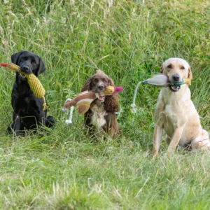 Benji & Flo Country Dog Toys