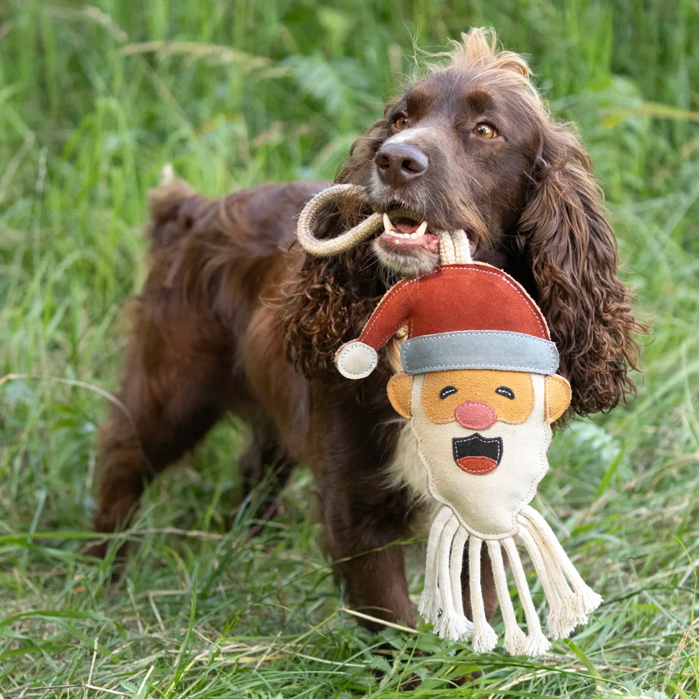 Christmas Dog Toys by Benji & Flo - Image 2