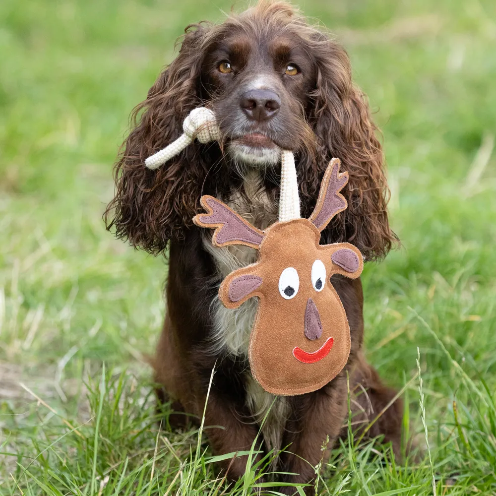 Christmas Dog Toys by Benji & Flo - Image 3