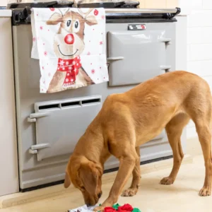 House of Paws Snuffle Toy