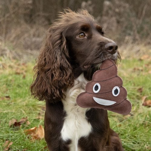 Benji & Flo Crazy Faces Dog Toys - Image 7