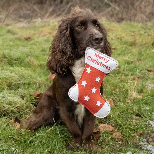 Christmas Dog Toys by Benji & Flo - Image 4