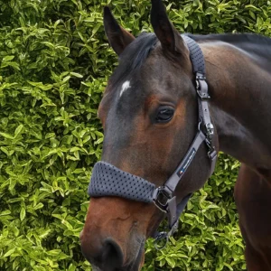 Premier Equine 3D Mesh Head Collar with Lead Rope -Necto 