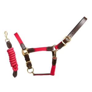 Cameo Equine Performance Leather Headcollar and Lead