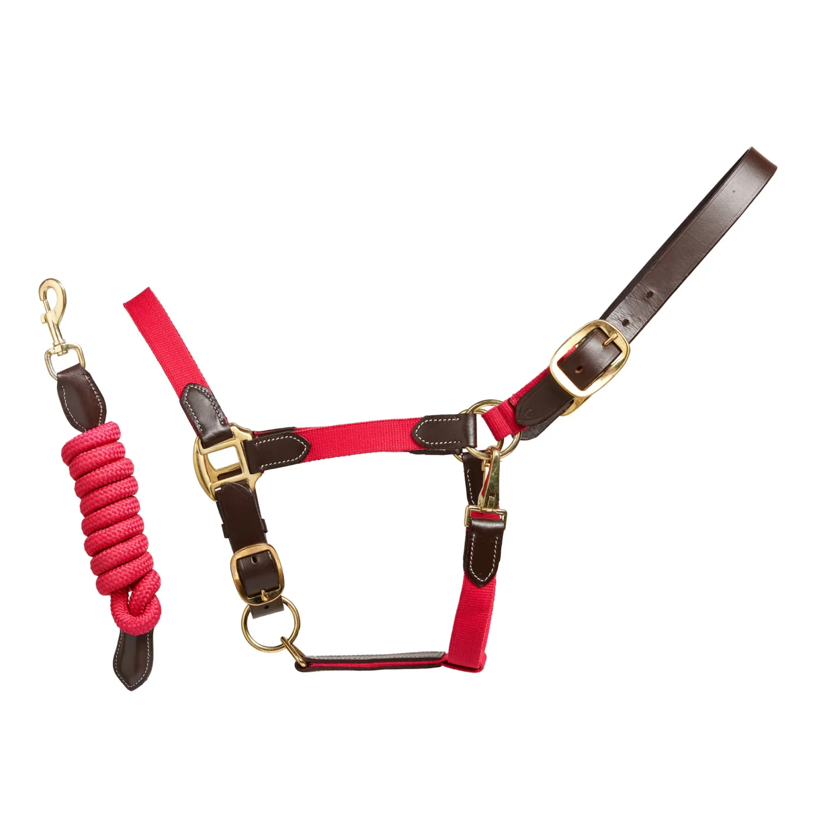 Cameo Equine Performance Leather Headcollar and Lead