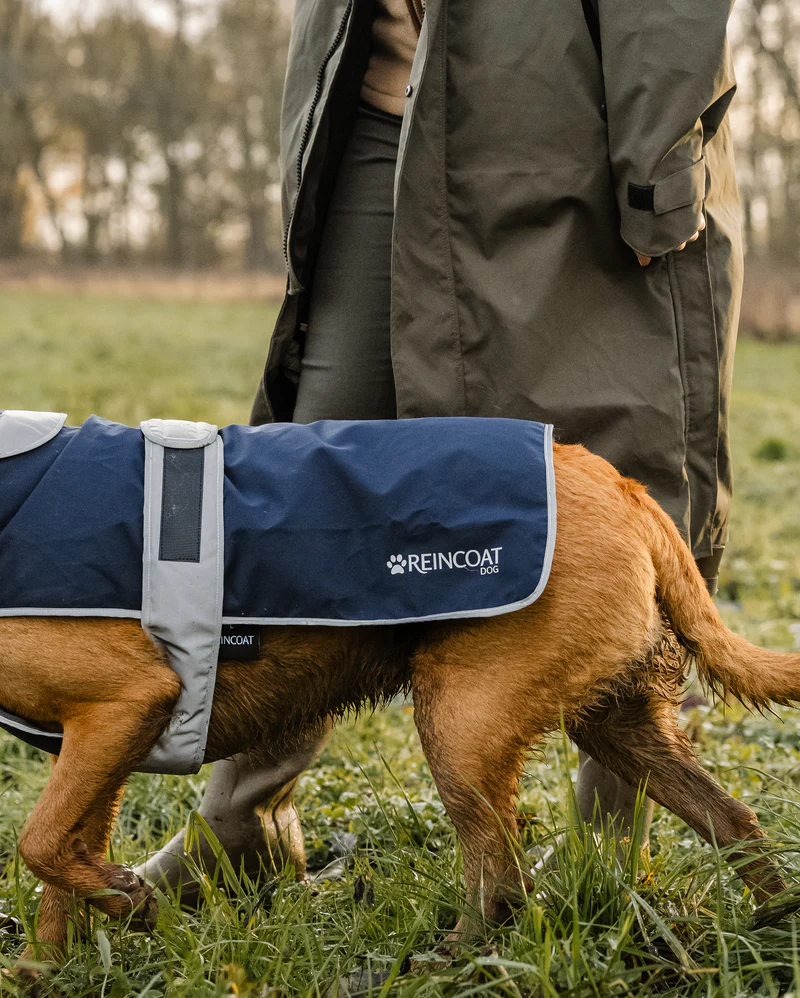 Reincoat Waterproof Dog Coat - Image 7