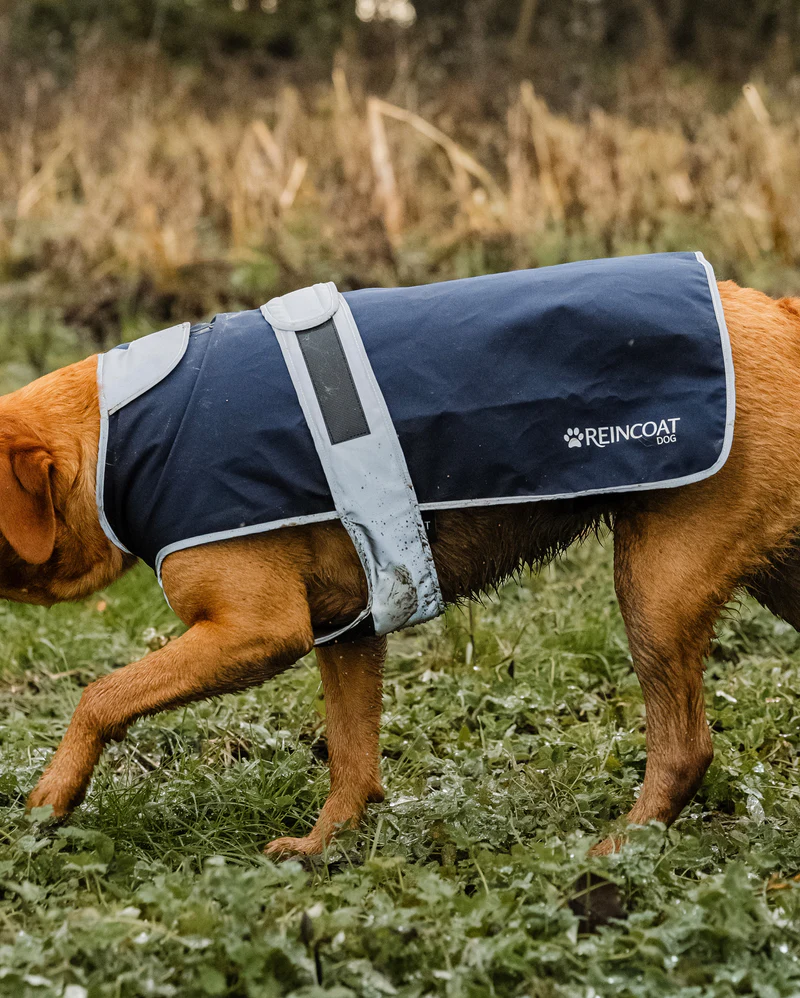 Reincoat Waterproof Dog Coat - Image 2