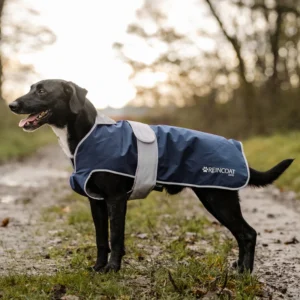 Reincoat Waterproof Dog Coat 