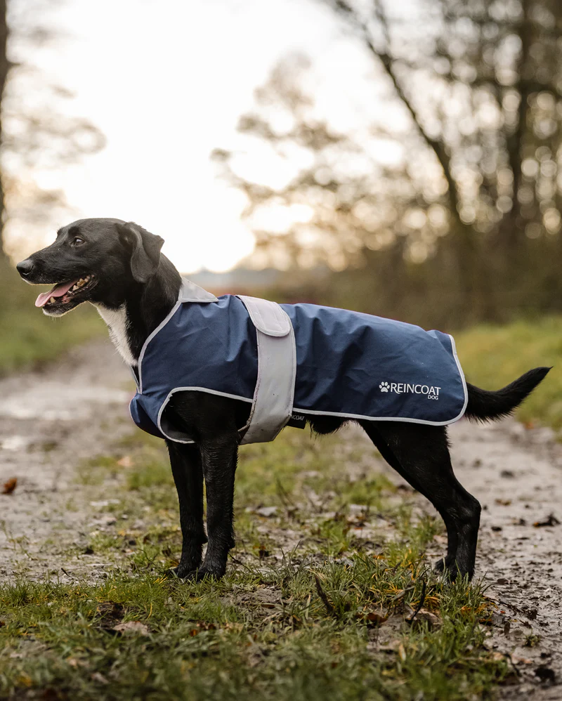 Reincoat Waterproof Dog Coat