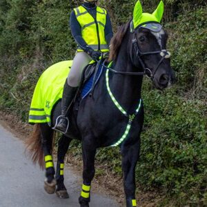 Woof Wear LED Neckband