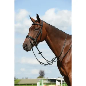 Collegiate Syntovia+ Plain Flat Running Martingale