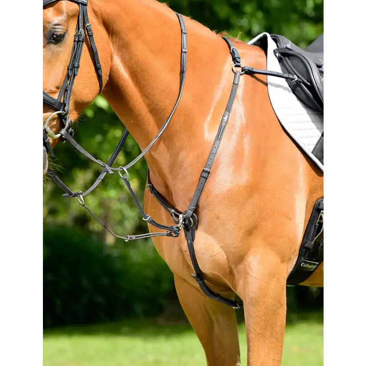 Collegiate ComFiTec Opulux 3-Point Padded Raised Breastplate With Running Attachment