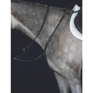 Collegiate Hunter Breast Plate IV