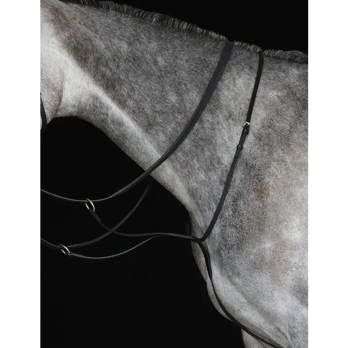 Collegiate Running Martingale IV