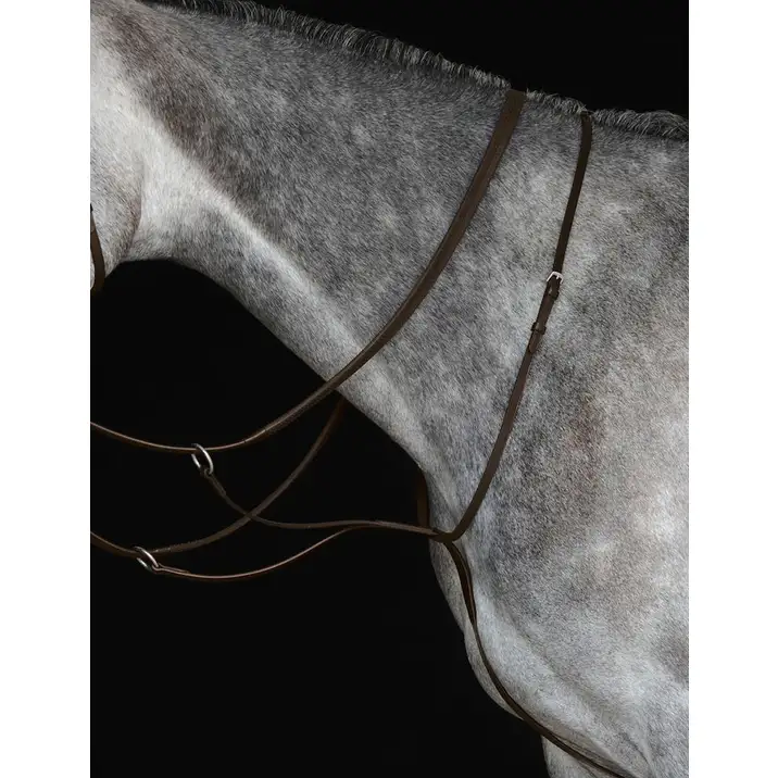 Collegiate Running Martingale IV - Image 2