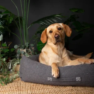 Scruffs Eco Eden Box Bed