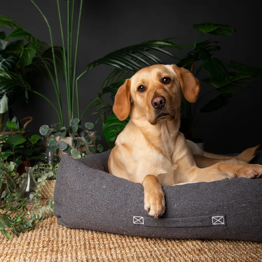 Scruffs Eco Eden Box Bed